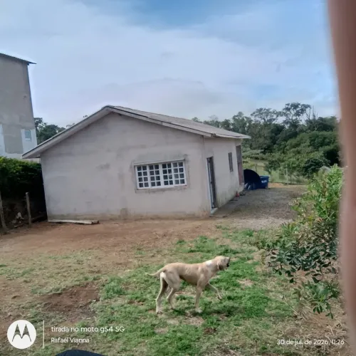 Vendo chácara no bairro dos cavalheiros Piedade SP