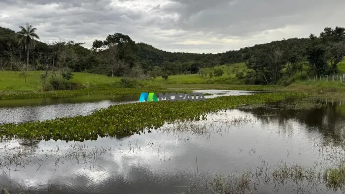 FAZENDA À VENDA - 161 HECTARES - CACHOEIRA DA PRATA (MG)