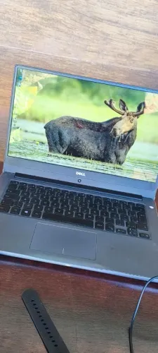 Dell