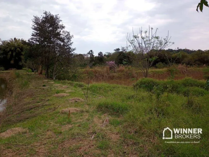 Área à venda, 40000 m² por R$ 2.000.000,00 - Doutor Camargo - Doutor Camargo/PR
