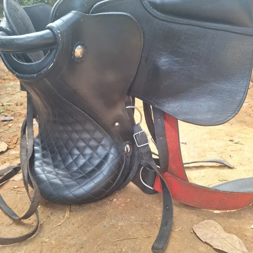 Cela de cavalo 750 