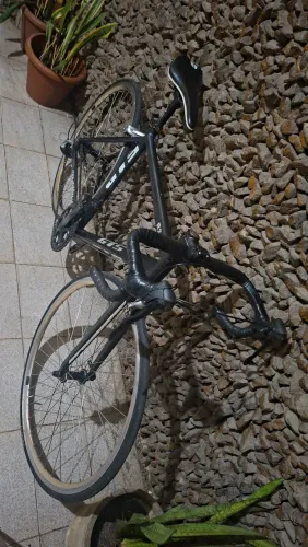 Bike speed gts