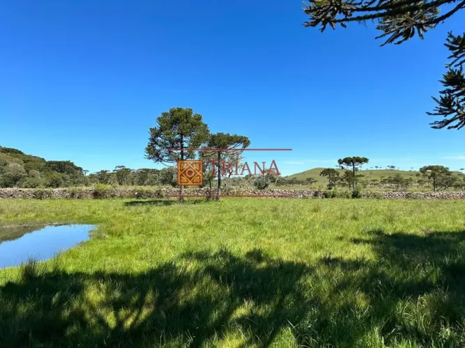TERRENO 2 HECTARES EM URUBICI