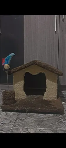 Casa de Gato