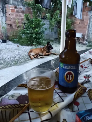PROCURANDO FÊMEA !