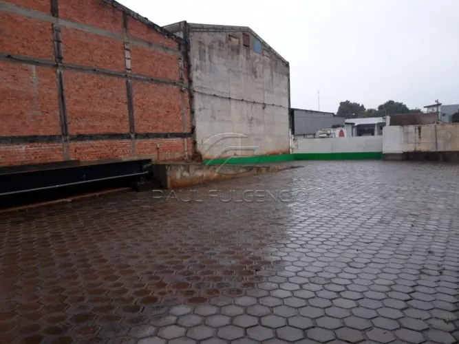 Terreno com área construída para escritório para alugar em Londrina