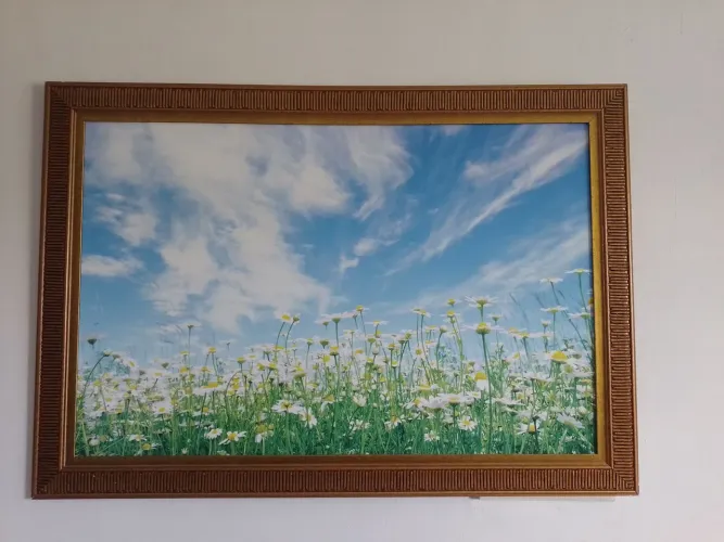 Quadro 