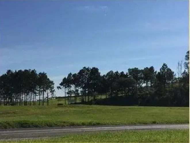 Área, 10900 m² - venda por R$ 3.900.000,00 ou aluguel por R$ 10.000,00/mês - Cajuru do Sul