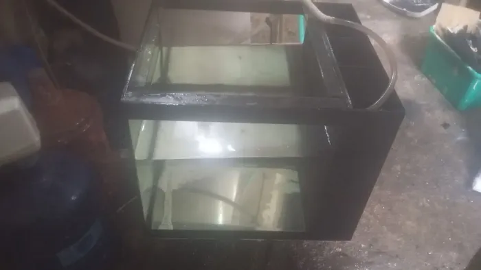 aquário 72 litros