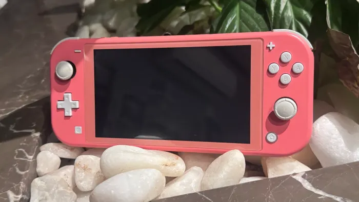 NINTENDO SWITCH LITE DESBLOQUEADO