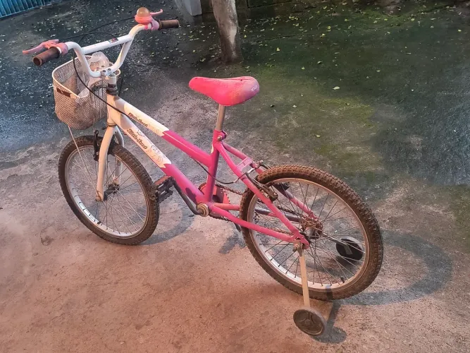 Bicicleta infantil menina aro 20