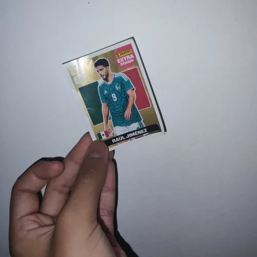 figurinha do Raul jimenez extra sticker