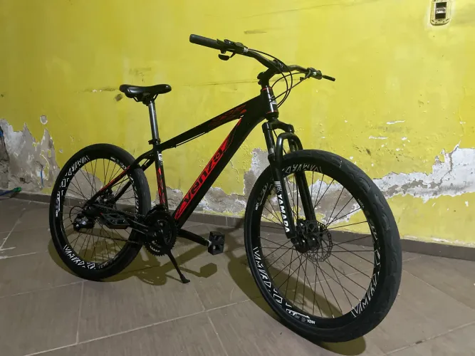 Bike VENZO