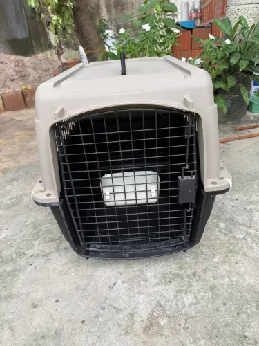 Caixa Transporte para Pet