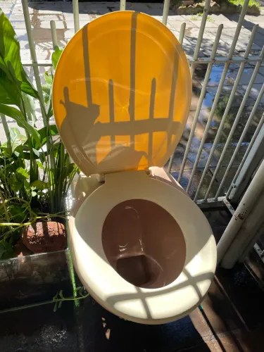 Vaso sanitário caixa acoplada