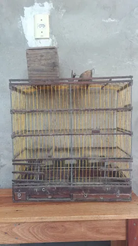 GAIOLAS