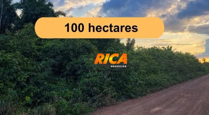 Fazenda à venda com 100 Hectares - Candeias do Jamari/RO