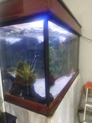 Aquário 350 litros usado, completo