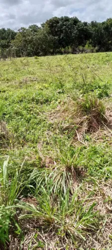 Terreno no parque de Camaragibe para vender 6 por 18 valor 12.000
