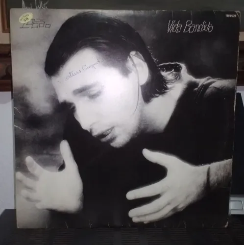 Disco de vinil