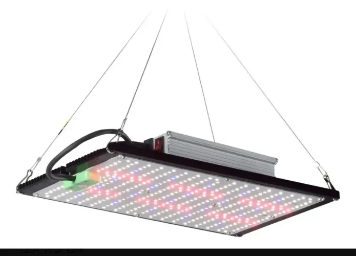 Quantun Bord Seyvatech