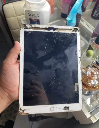 iPad