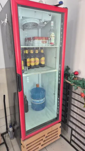 Freezer e Expositor Vertical 