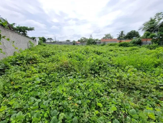Alugo 2 Terrenos dando no Total 2.250m² ótimo Para Galpões ou Empresas no Águas Claras I