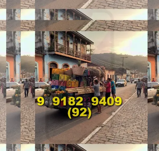 frete com agilidade e disponibilidade em Manaus