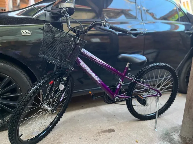 Bicicleta