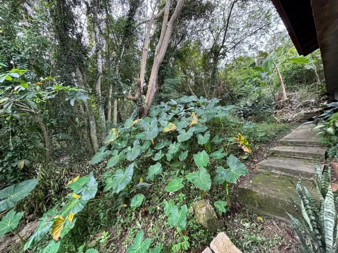 Terreno à venda no Canto da Lagoa