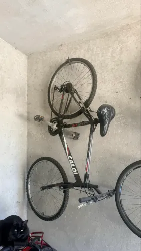 Bicicleta caloi