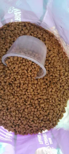 Ração para gatos Nutrican saco grande de 10 kg