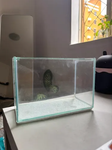 Aquário 5L
