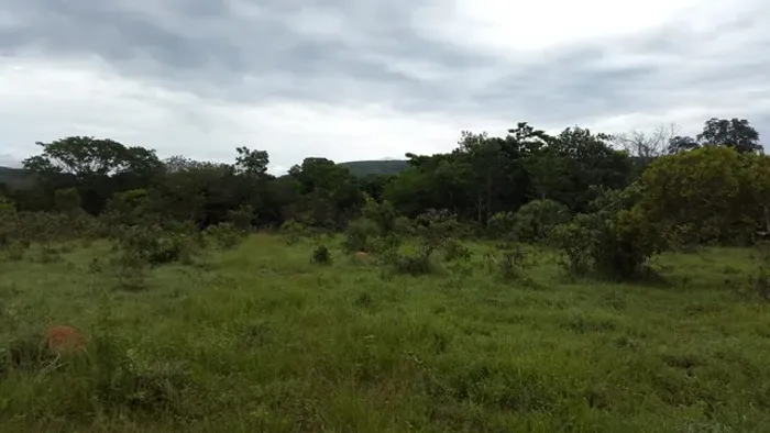 Fazenda 553 Hectares valor 6.500.000 município arinos mg
