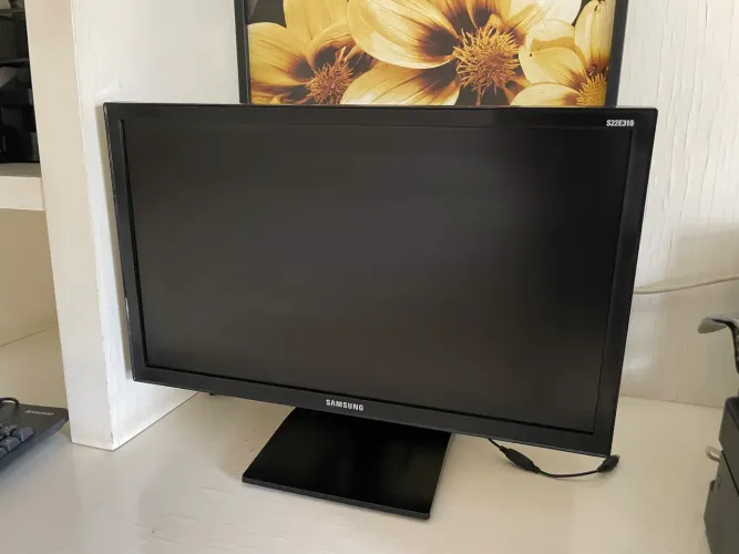 Monitor Samsung S22E310