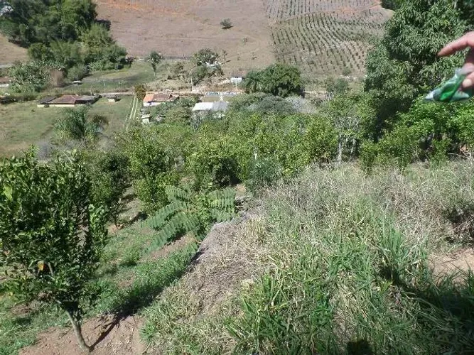 Sítio para venda tem 42.ooo  m² com 3 quartos e  muitas frutas.
