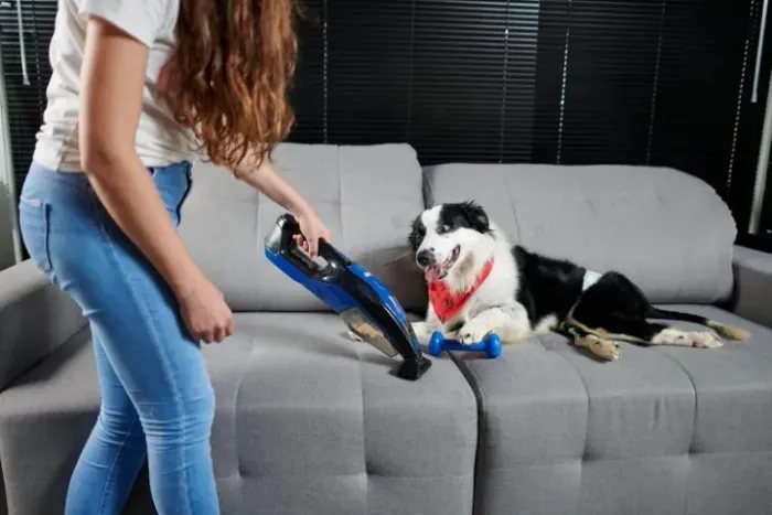 Extratora WAP Pet Cleaner MOB - Nova, lacrada! Ideal para pets e higienização de estofados