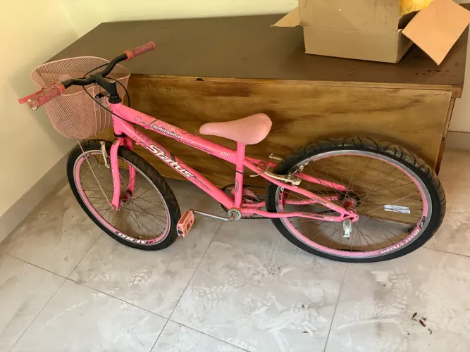 Bicicleta Infantil Aro 24 Feminina 