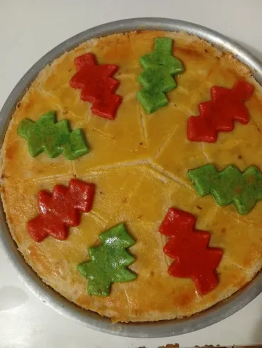 Cozinheira de forno e fogão