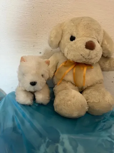 cachorrinhos de pelúcia