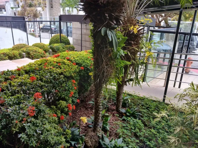 Imóvel para venda com 110 metros quadrados com 3 quartos em Mata da Praia - Vitória - ES