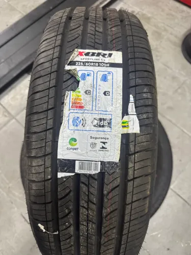 Par de Pneu Aro 18? Xbri 225/60R18 107H PCR