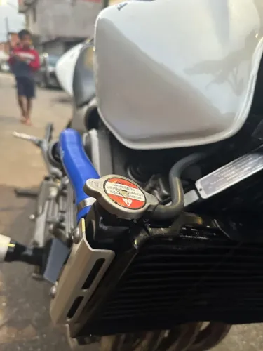 Hornet branca carburada