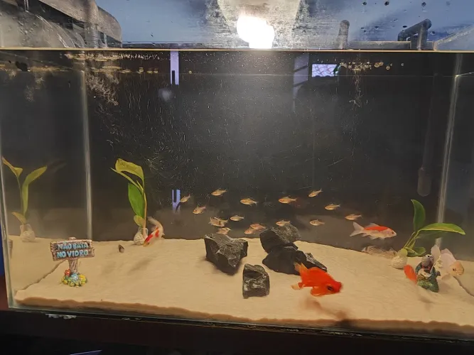 Aquário 160 litros