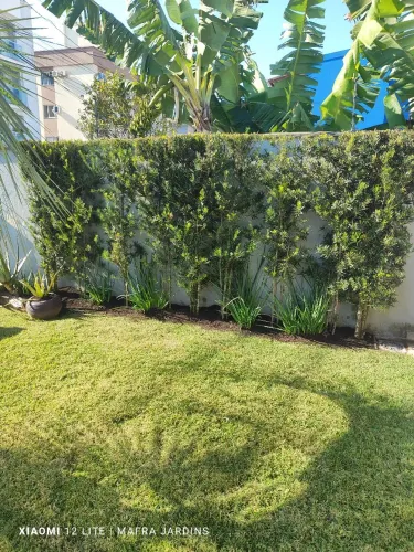 Jardinagem faça seu orçamento !!