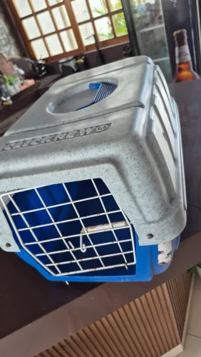 Caixa porta pet