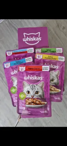 Saches wiskas