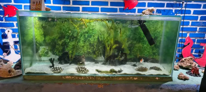 Aquário grande de 300 litros