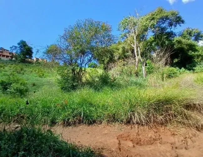 Leilão | 15 lotes para venda em São Jorge - Manhuaçu/MG